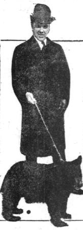 Weeghman introduces Toy's replacement